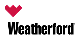 int-logo-client33